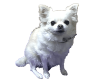 131250503