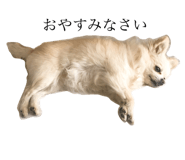 131250504
