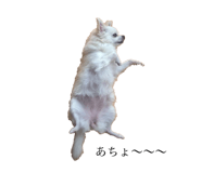 131250505