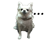 131250506