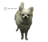 131250518