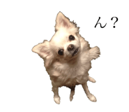 131250525