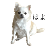 131250530