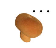 131250533