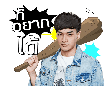 ลายที่ 13