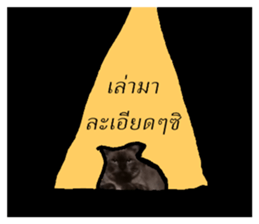131391666