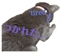 131442017