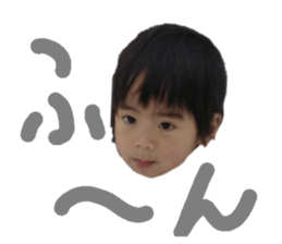 131491241
