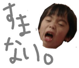 131491251