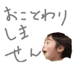 131491254
