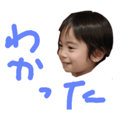 131491256