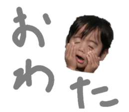 131491273