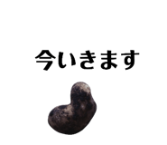 131534101