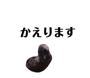 131534103
