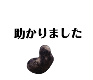131534104