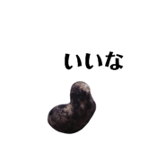 131534109