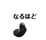 131534110