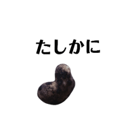 131534111