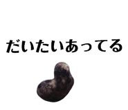 131534112