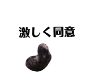 131534113
