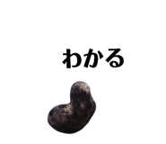 131534116