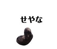 131534117