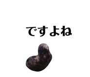 131534120