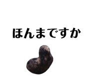 131534121