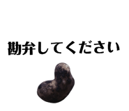 131534125