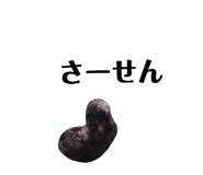 131534131