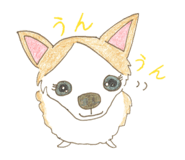 131601338
