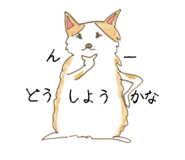 131601343