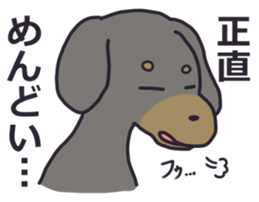 13167666