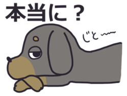 13167672