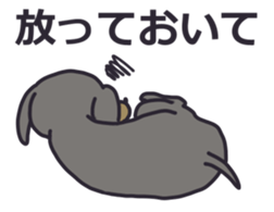 13167674