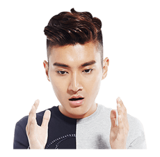 Super Junior Special รูปที่ 8