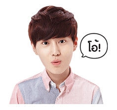 EXO สเปเชียลอีดิชั่น รูปที่ 1