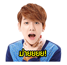 EXO สเปเชียลอีดิชั่น รูปที่ 5