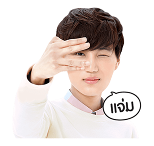ลายที่ 16
