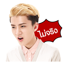 EXO สเปเชียลอีดิชั่น รูปที่ 22