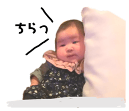 131731204