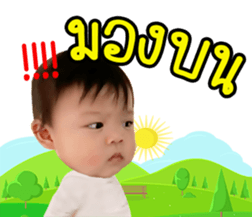 132036509