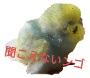 132047718