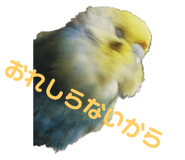 132047719