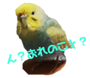 132047721