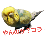 132047727