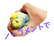 132047730