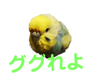 132047731