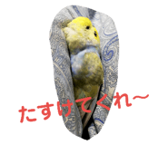 132047732