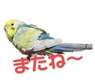 132047733